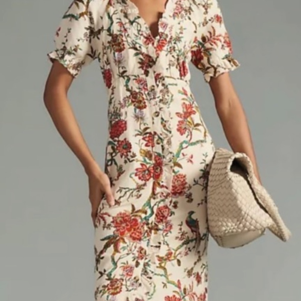 Anthropologie Floral Midi Dress - Cream and Red